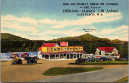 New York Lake Placid Sterling Alaska Game Farm Curteich - Adirondack