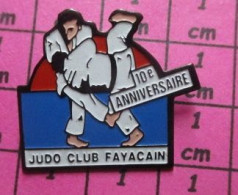 1115A Pin's Pins / Beau Et Rare / SPORTS / Club De JUDO JUJITSU à STE HONORINE DU FAY, Fontaine Etoupefour, FEUGUEROLLES - Judo