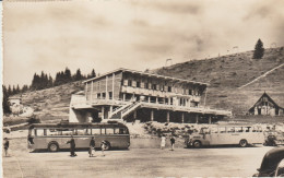 Cpsm 9x14. LE COLLET D'ALLEVARD Chalet-Hôtel "Les Rhododendrons" + Gare Départ Télésiège à Malatrat . Autobus Années 50 - Other & Unclassified