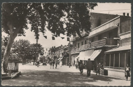 Carte P ( Tebessa / Le Cours Carnot Un Jour ) - Tébessa