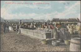 Scotch Girls Gipping Herrings, Yarmouth Fishery, 1904 - Valentine's Postcard - Great Yarmouth