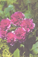 Pocket Calendar, Flowers, 1990 - Small : 1981-90