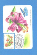 Pocket Calendar, Maxi Card, Flowers, Butterfly, 1990 - Small : 1981-90