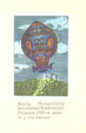 Pocket Calendar, Mongolian Balloon, 1989 - Small : 1981-90