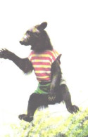 Pocket Calendar, Soviet Circus, Bear On Rope, 1989 - Small : 1981-90