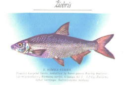 Pocket Calendar, Fish, Vimba Vimba, 1989 - Small : 1981-90