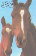 Pocket Calendar, Horses, 1989 - Small : 1981-90