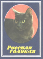 Pocket Calendar, Grey Cat, 1989 - Small : 1981-90