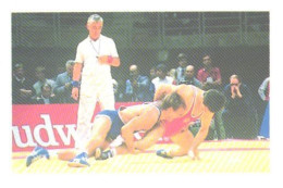 Pocket Calendar, Ukraine, Sport Calendar, Wrestling, 1989 - Small : 1981-90