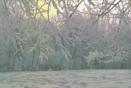 Pocket Calendar, Winter View, 1989 - Small : 1981-90