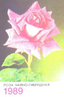 Pocket Calendar, Rose, 1989 - Small : 1981-90