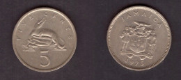 JAMAICA   5 CENTS 1975 (KM # 53) #7434 - Jamaique