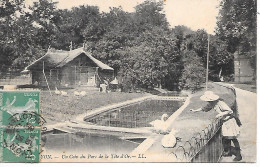 LYON ( 69 ) - Un Coin Du Parc De La Tête D' Or - Lyon 6