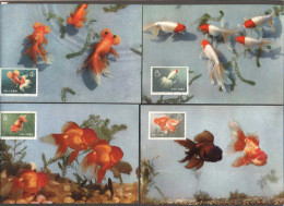 CHINA - KINA -  GOLD  FISH  On  POSTCARDS - Complet Set 12 V -  ORGINAL  CARD - Cto  MC - 1960 - PERFECT - RARE - Cartas & Documentos