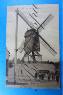 Zele  Mull Windmolen Moulin A Vent - Zele