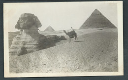 Cavalier Sur Un Chameau , Sphinx , Pyramide , Cpa Photo  - Hap 20015 - Sphynx