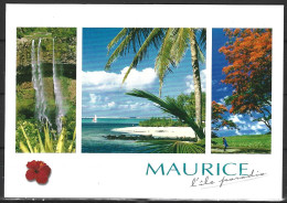 ILE MAURICE. Carte Postale écrite. Couleurs De L'île. - Maurice