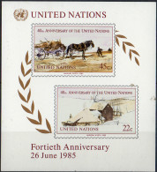 NATIONS UNIES (New York) - 40e Anniversaire Des Nations Unies Feuillet - Blocs-feuillets