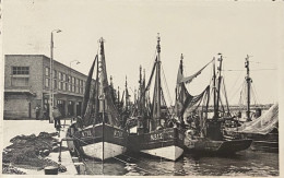 Nieuwpoort  Haven En Vismijn - Nieuwpoort