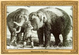 M014 Zoo - Menagerie Het Loo, NL - Unknown Author, ~1795 - Elephant - Apeldoorn