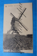 Brakel Nederbrakel Ten Broecke  WINDMOLEN  Moulin A Vent - Brakel