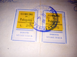 COPPIA MARCHE DA BOLLO COMUNE DI PALAGONIA DA 25 LIRE -1965 - Steuermarken