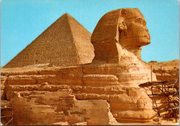 22-8-2023 (2 T 66) Egypt (2 Postcards) SHPINX Of Gizeh - Sphinx