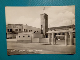 Cartolina Porto S. Giorgio - Colonia Ferrovieri. Viaggiata 1959 - Fermo