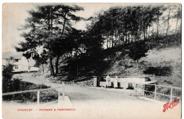 Stavelot - Paysage A Parfonduy - Stavelot