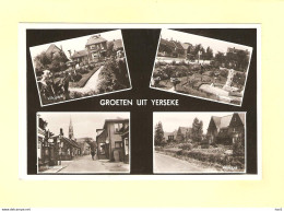 Yerseke 4-luik 1954 RY31640 - Yerseke