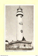 Egmond Aan Zee Vuurtoren RY31288 - Egmond Aan Zee