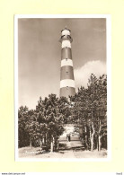 Ameland Vuurtoren RY31198 - Ameland