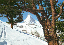 Switzerland Zermatt Matterhorn Paysage D'hiver - Matt