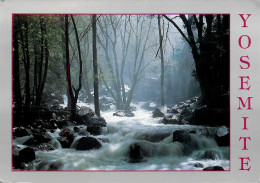 USA Yosemite National Park CA Bridal Veil Creek Spring Melt - Yosemite