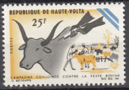 N° 172 De Haute Volta - X X - ( E 1662 ) - Koeien