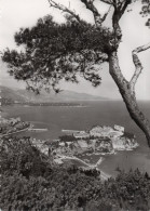 MONACO,DYNASTIE DES GRIMALDI,CARTE PHOTO GILLETTA - Autres & Non Classés