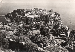 MONACO,DYNASTIE DES GRIMALDI,CARTE PHOTO LA CIGOGNE,JARDIN EXOTIQUE - Sonstige & Ohne Zuordnung