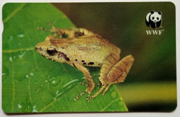 Hongkong MINT 50 " WWF  Romers Tree Frog ( With Folder ) " - Hongkong