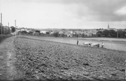 Bidache - Vue Panoramique  -  CPSM°J - Bidache