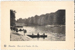 BRUXELLES - Bois De La Cambre - Le Lac - Thill, N° 38 - N'a Pas Circulé - Oudergem - Auderghem