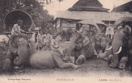 LAOS(TYPE) ELEPHANT(RAQUEZ) - Laos