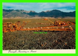 HAWAII - PINEAPPLE HARVESTING - LIBBY'S MACHINERY AND SKILLFUL PICKERS LABOR - H. S. CROCKER CO INC - - Honolulu