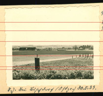 Orig. Foto 1939 Ortspartie Bei Bischdorf Ostpreussen, Landkreis Rößel, Sątopy-Samulewo Emsland Masuren - Ostpreussen