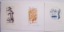 Lot 3 Ex-libris Denise Cartoux, Aix-en-Provence. Nature Arbre. Lot 3 Exlibris Denise Cartoux. Nature Tree - Bookplates