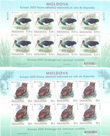 2021. Moldova, Europa 2021, Endangered National Wildlife/Birds, 2 Sheetlets,  Mint/** - Moldavie