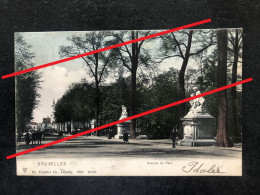 Bruxelles.  Avenue Au Parc . Dr Trenkler Co., Leipzig 1904 N° 26766. - Avenues, Boulevards