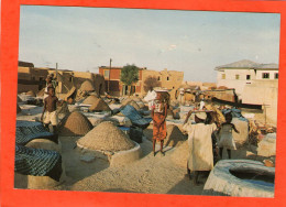 Dyeing Pit KANO - Nigeria - - Afrika