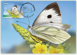 Portugal & Maximum Card, Fauna Terrestre Dos Açores, White Butterfly 2023 (97993) - Papillons