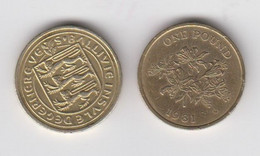 Guernsey One Pound £1 Coin Circulated Dated 1981 - Guernesey