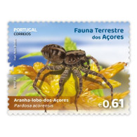 Portugal ** & Maximum Card, Azores Terrestrial Fauna, Azores Wolf Spider 2023 (97999) - Spinnen